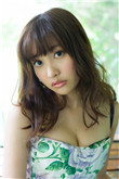 爱尔兰公投